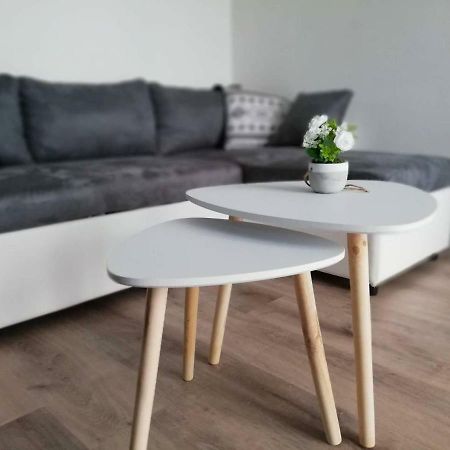 Appartement Cosy Proche Meteo France Et Airbus トゥールーズ エクステリア 写真