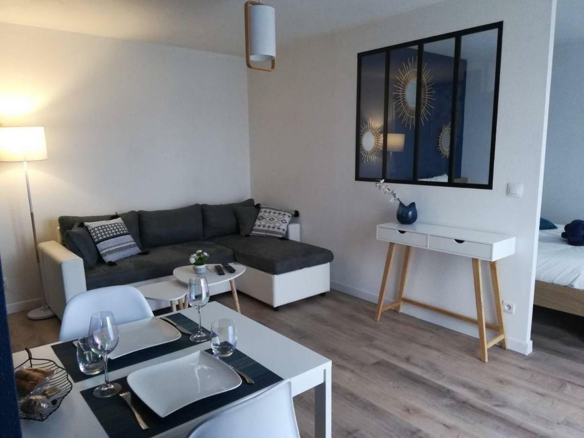 Appartement Cosy Proche Meteo France Et Airbus トゥールーズ エクステリア 写真