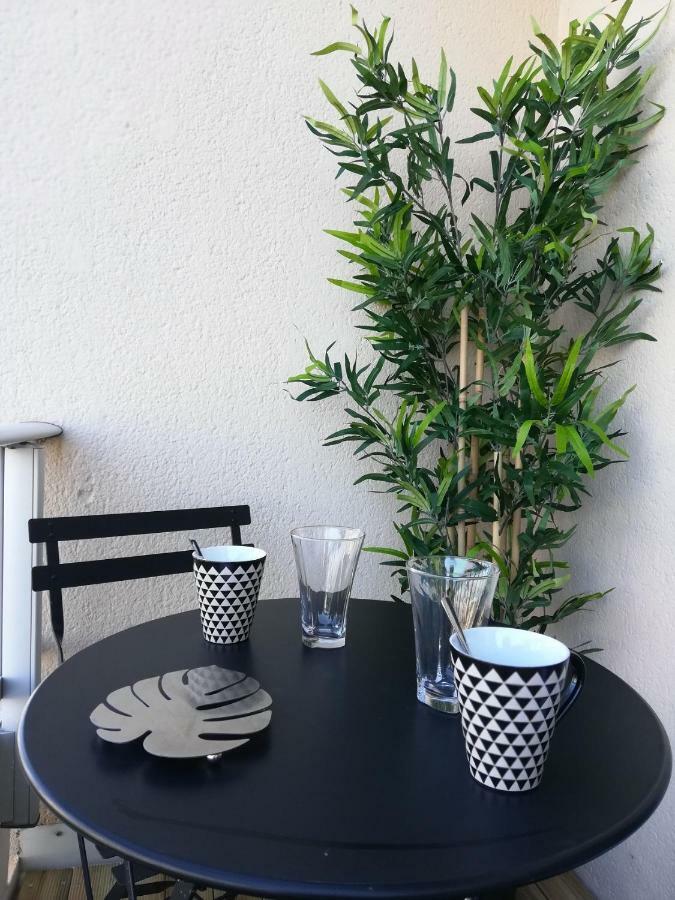 Appartement Cosy Proche Meteo France Et Airbus トゥールーズ エクステリア 写真